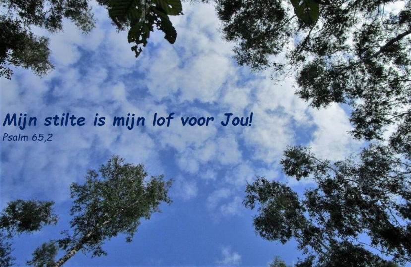 lucht en boom